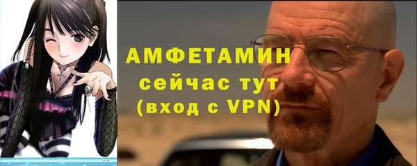 метадон Богданович