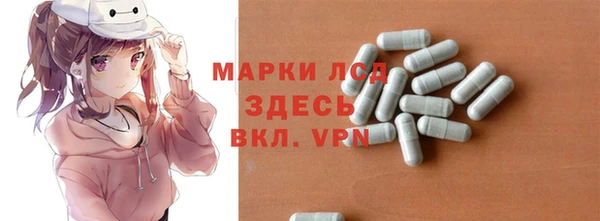 прущие грибы Богородск