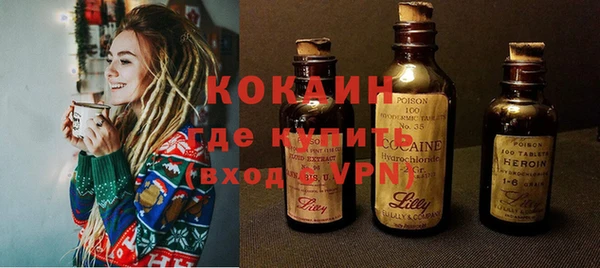 метадон Богданович