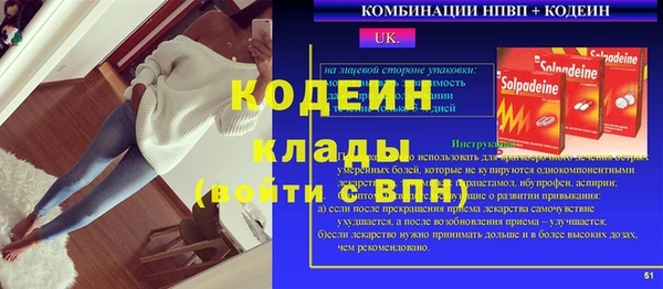 прущие грибы Богородск