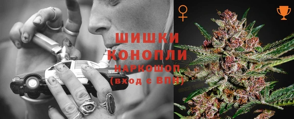прущие грибы Богородск