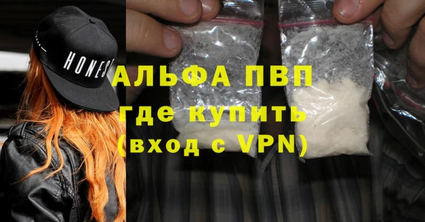 метадон Богданович