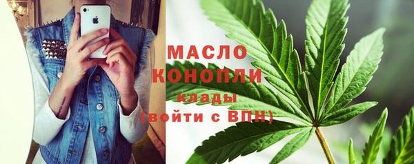 метадон Богданович