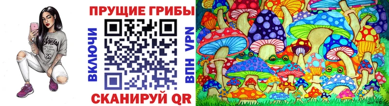 Галлюциногенные грибы MAGIC MUSHROOMS  цена наркотик  нарко площадка формула  Черняховск 