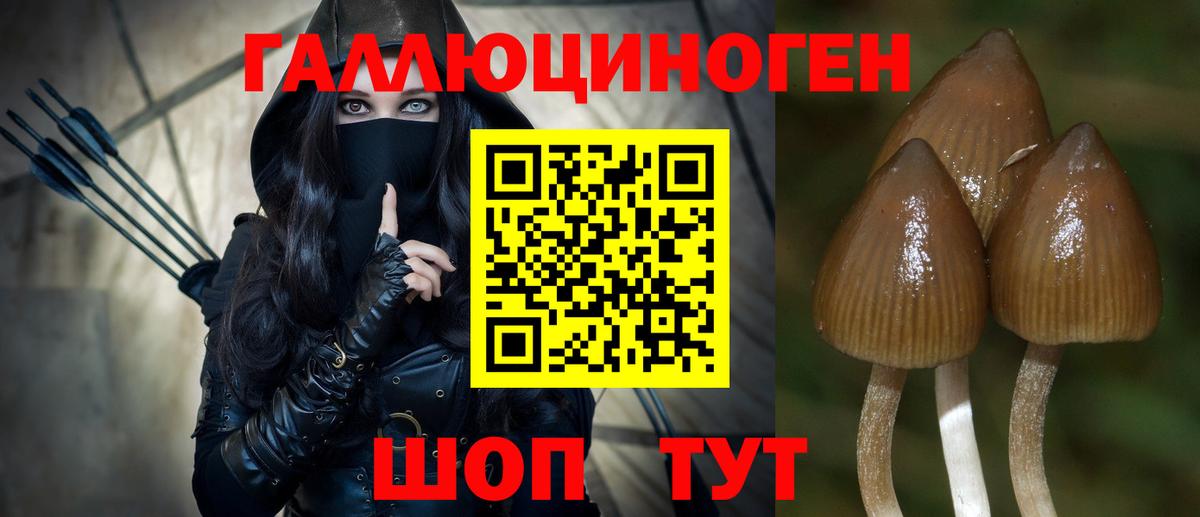 Черняховск  Псилоцибиновые грибы мицелий  Вход с VPN 