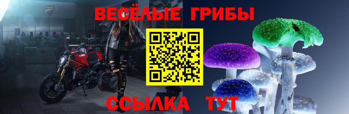 Псилоцибиновые грибы мухоморы Черняховск